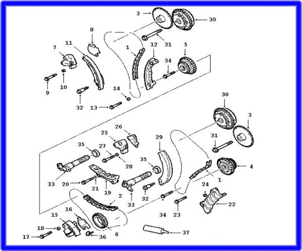 timing chain vz commodore