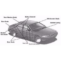 Rear Quarter Window Seal Mini